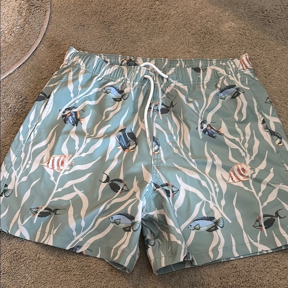 Men's Aqua Fish Print Swim Shorts 005B